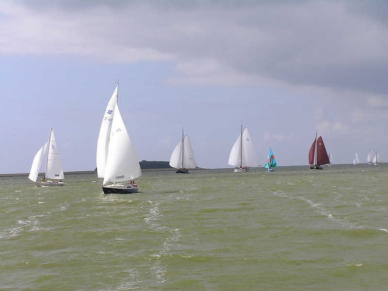 Lemsterbokking08 (141).jpg
